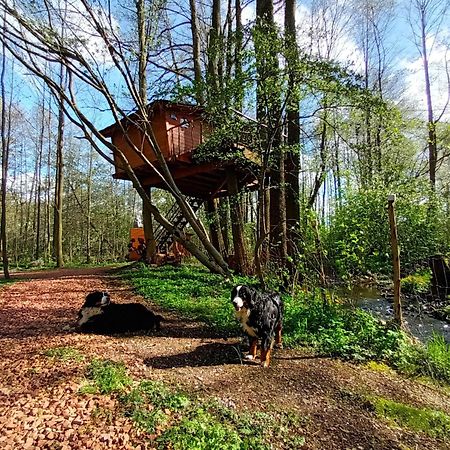 Treehouse V Brdech Villa Bohutin  ภายนอก รูปภาพ