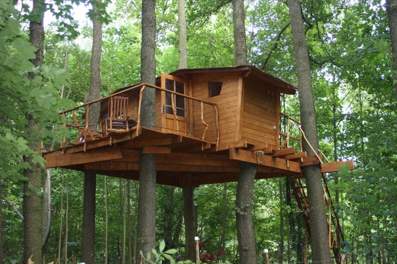 Treehouse V Brdech Villa Bohutin  ภายนอก รูปภาพ