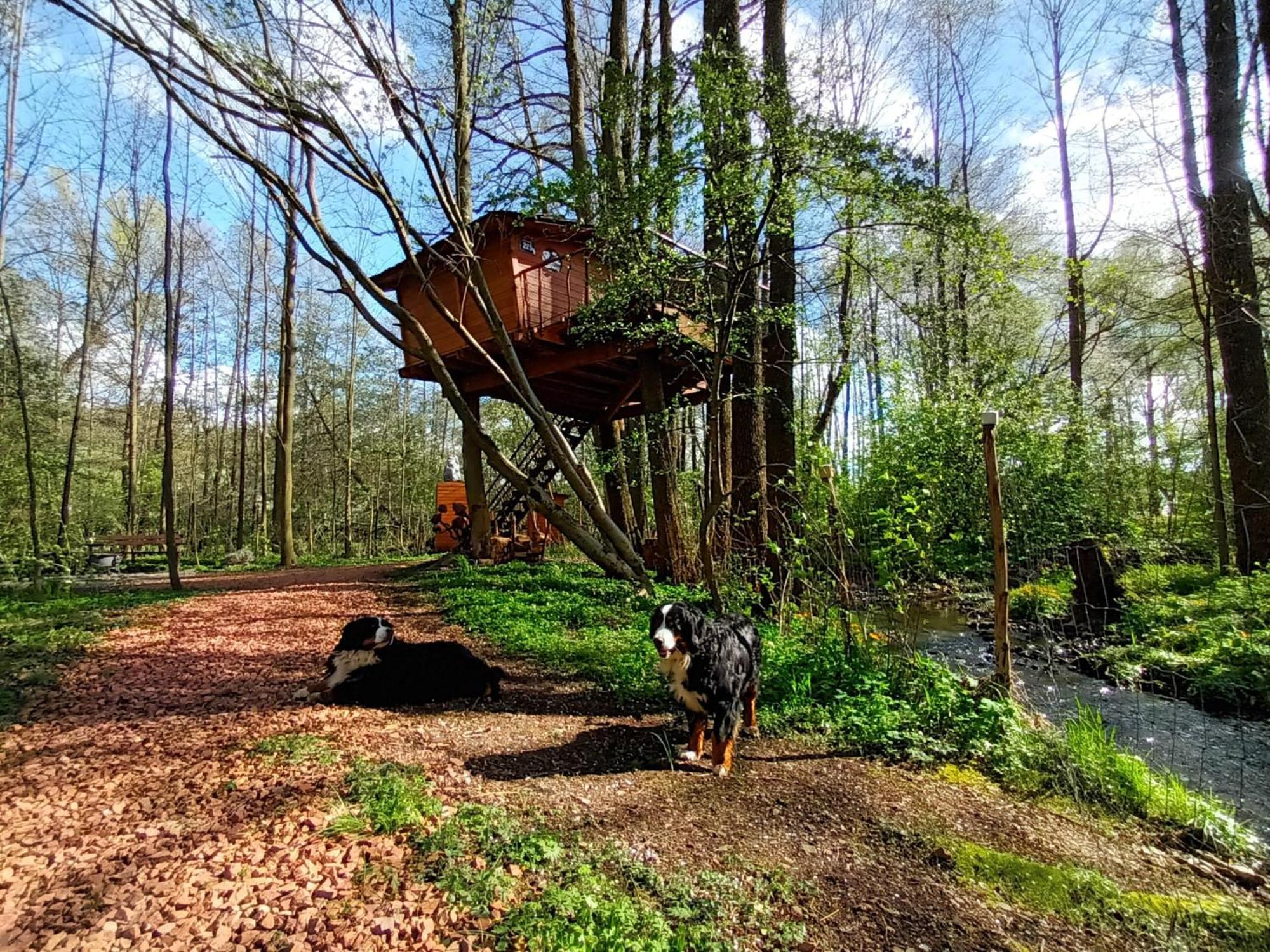 Treehouse V Brdech Villa Bohutin  ภายนอก รูปภาพ